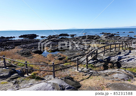 天神島臨海自然教育園 天神島臨海自然教育園 85231588