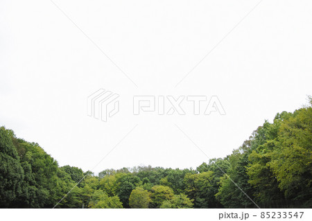 小山田緑地・町田市 公園 小山田緑地・町田市 公園 85233547
