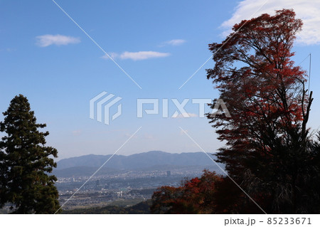 紅葉した樹々と緑の樹の先に高速道路やビルの見える街と山々の景色と白い雲と青空と白む空のある風景 85233671