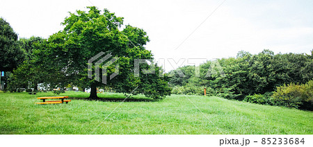 小宮公園・八王子市 85233684