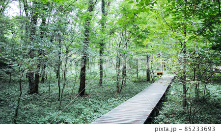 小宮公園・八王子市 小宮公園・八王子市 85233693