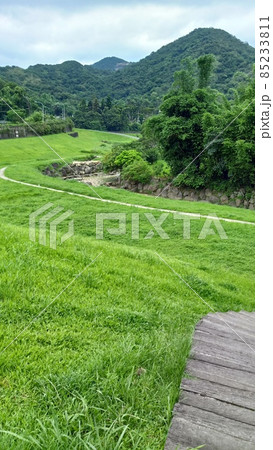 台北市内湖区の大溝渓生態治水園区（自然公園）の風景3 85233811