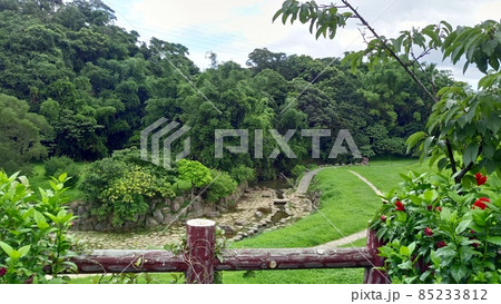台北市内湖区の大溝渓生態治水園区（自然公園）の風景2 85233812
