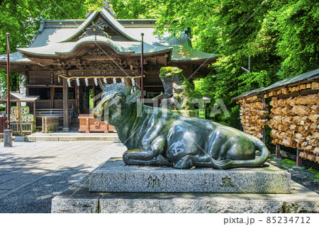 東京都・国立市　東日本最古　谷保天満宮（やぼてんまんぐう）菅原道真を祭る牛の石造 85234712