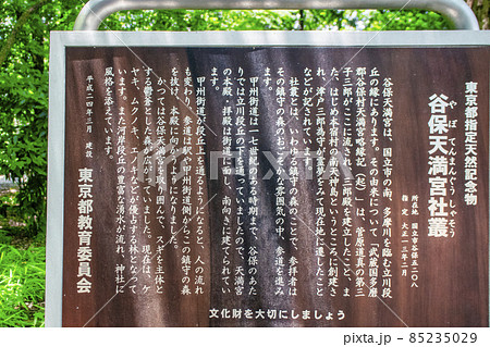 東京都・国立市 東日本最古 谷保天満宮(やぼてんまんぐう) 東京都・国立市 東日本最古 谷保天満宮(やぼてんまんぐう) 85235029