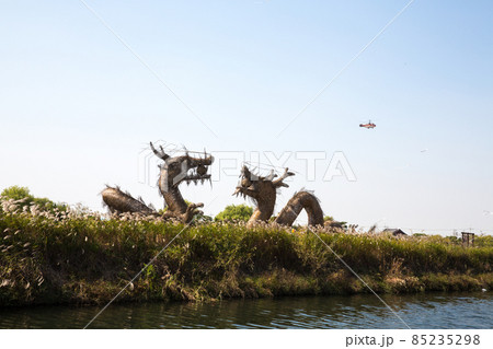 自然 風景 野生動物 85235298
