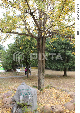 桂林・ラクダ岩、七星公園 85235374