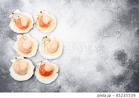 Seafood. Shellfish. Raw scallops with lemon, on gray stone table background, top view flat lay, with copy space for text Seafood. Shellfish. Raw scallops with lemon, on gray stone table background, top view flat lay, with copy space for text 85235539