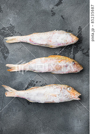 Frozen mullet or sultanka fish, on gray stone table background, top view flat lay Frozen mullet or sultanka fish, on gray stone table background, top view flat lay 85235687