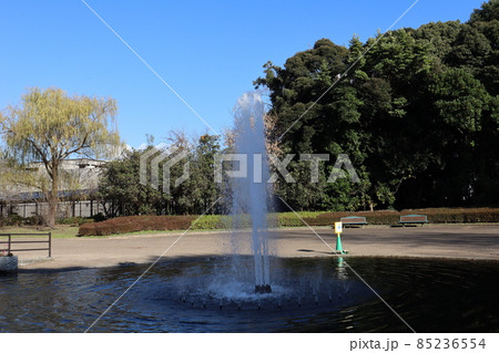 青空と光のあたる緑色の樹々の森と建物と生垣とベンチと日陰に大きな噴水のある公園の風景 85236554