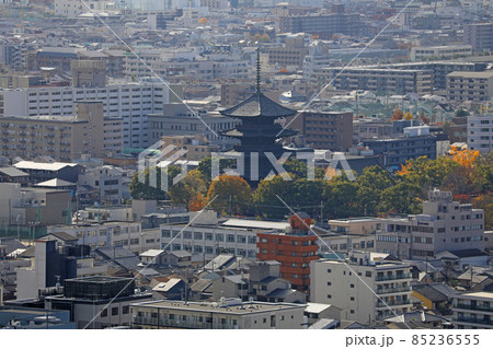 東寺の五重塔 85236555