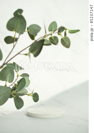 大理石 表彰台 ディスプレイ 85237147