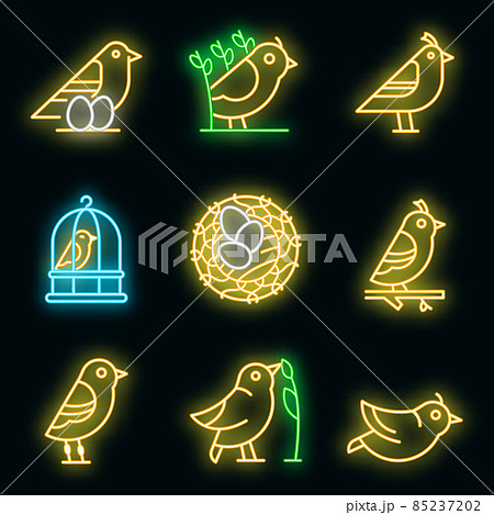 Quail icons set vector neon 85237202