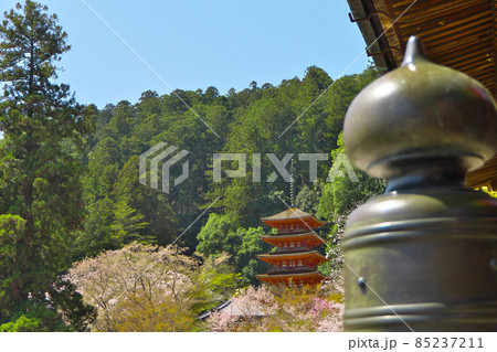 奈良の長谷寺で五重塔を擬宝珠と並べて撮ってみた 85237211