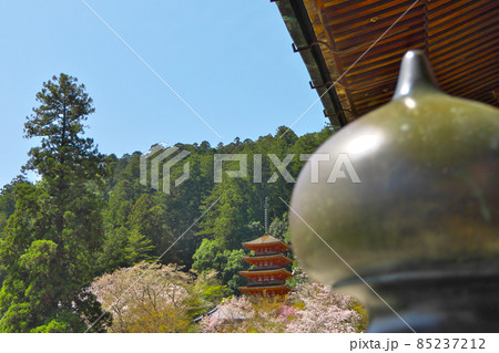奈良の長谷寺で五重塔を擬宝珠と並べて撮ってみた 85237212