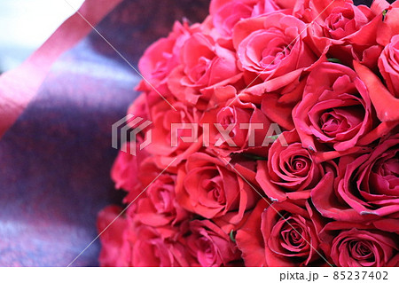 赤いバラ バラの花束 赤いバラの花束 赤いバラ バラの花束 赤いバラの花束 85237402