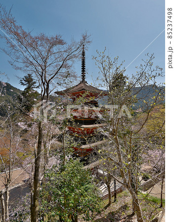 長谷寺の五重塔を、北西側の五重目の高さから見下ろす 85237498
