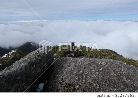 屋久島　永田岳 85237965