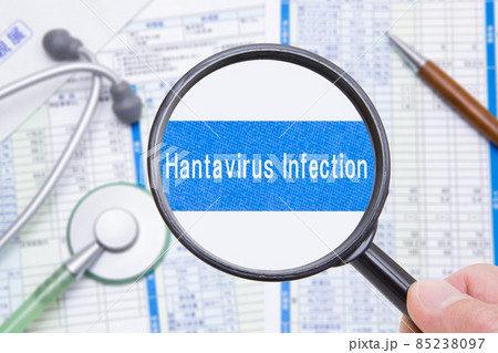Hantavirus Infection 85238097