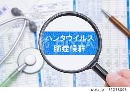 ハンタウイルス肺症候群 ハンタウイルス肺症候群 85238098