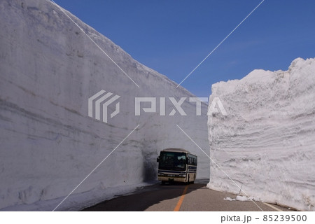立山アルパイン　雪の大谷 85239500