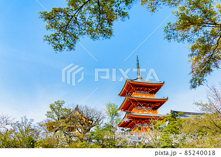 京都府 清水寺 ~三重塔と満開の桜~ 京都府 清水寺 ~三重塔と満開の桜~ 85240018