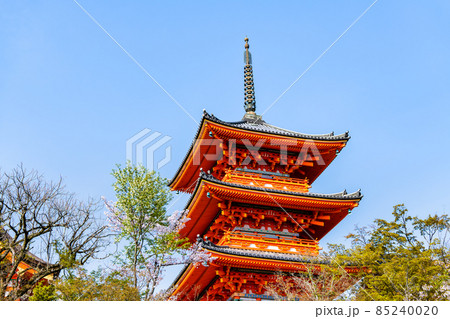 京都府 清水寺 ~三重塔と満開の桜~ 京都府 清水寺 ~三重塔と満開の桜~ 85240020