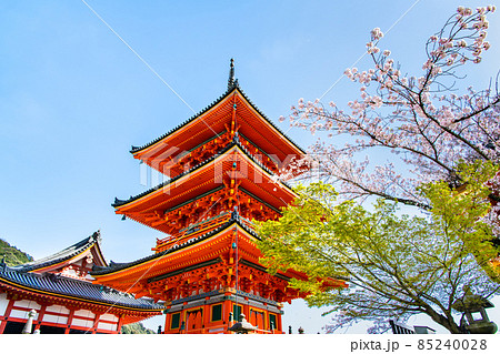 京都府 清水寺 ~三重塔と満開の桜~ 京都府 清水寺 ~三重塔と満開の桜~ 85240028