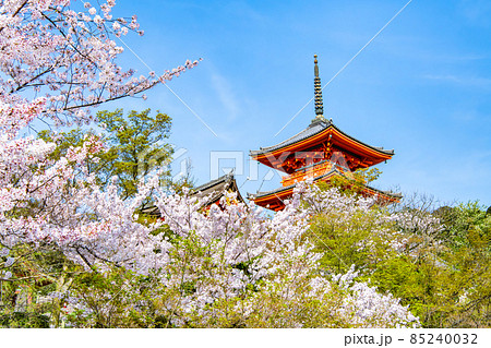 京都府 清水寺 ~三重塔と満開の桜~ 京都府 清水寺 ~三重塔と満開の桜~ 85240032