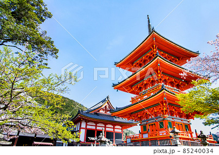 京都府 清水寺 三重塔と満開の桜 の写真素材