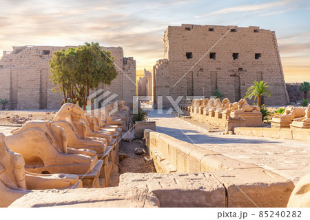 The King s Festivities Road or Avenue of Sphinxes, ram-headed statues of Karnak Temple, Luxor, Egypt 85240282