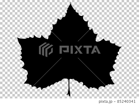 紅葉直前の「プラタナスの葉」黒のシルエット 85240341
