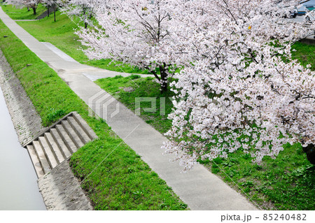 岡崎公園 岡崎公園 85240482