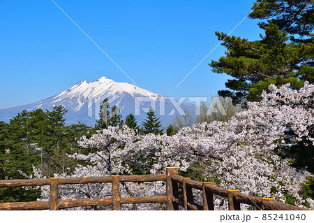 桜景　弘前公園　岩木山 85241040