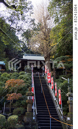 神奈川県横須賀市走水神社の冬 85241064