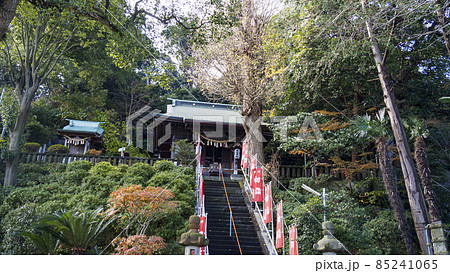 神奈川県横須賀市走水神社の冬 神奈川県横須賀市走水神社の冬 85241065