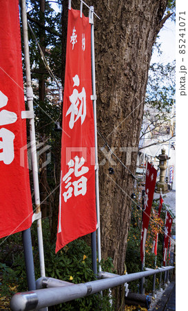 神奈川県横須賀市走水神社の冬 神奈川県横須賀市走水神社の冬 85241071