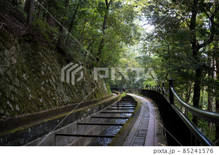 琵琶湖疏水 85241576