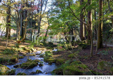 成田山公園　文殊の池へと注ぐ清流 85241578