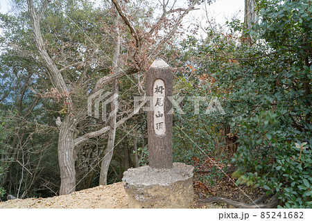 栂野山の山頂(須磨アルプス) 栂野山の山頂(須磨アルプス) 85241682