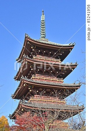 上野恩賜公園：旧寛永寺五重塔　国重要文化財 85241956