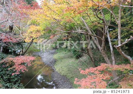 紅葉と小川のベストマッチング 85241973