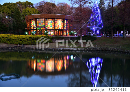 於大公園このはな館のライトアップ 85242411