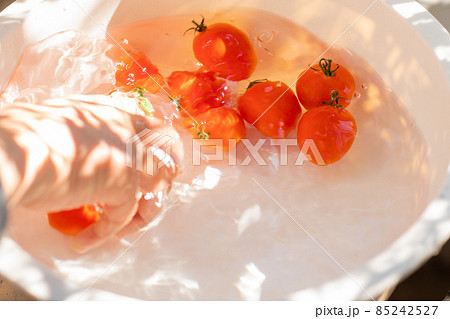 ミニトマト ミニトマト 85242527