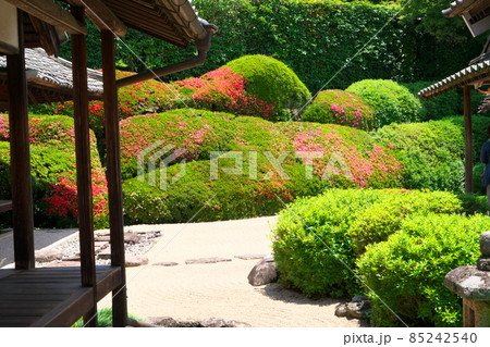 【瀬戸内三十三観音霊場】第十三番　頼久寺の庭園とサツキの花が咲く青海波3　岡山県高梁市 85242540