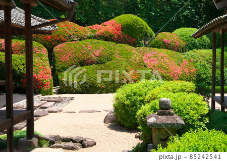 【瀬戸内三十三観音霊場】第十三番　頼久寺の庭園とサツキの花が咲く青海波2　岡山県高梁市 85242541