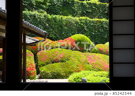 【瀬戸内三十三観音霊場】第十三番 頼久寺の窓越しのサツキの花が咲く青海波 岡山県高梁市 【瀬戸内三十三観音霊場】第十三番 頼久寺の窓越しのサツキの花が咲く青海波 岡山県高梁市 85242544