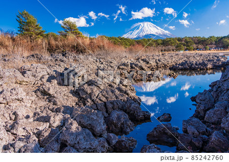 （山梨県）本栖湖畔の溶岩地帯から望む富士山 85242760