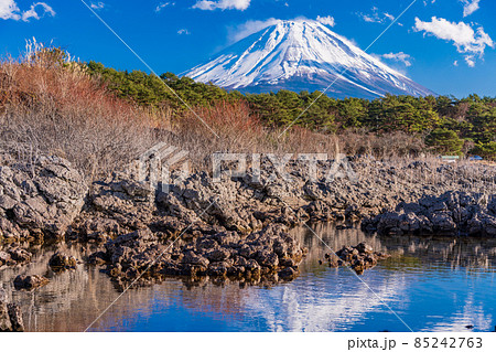 （山梨県）本栖湖畔の溶岩地帯から望む富士山 85242763