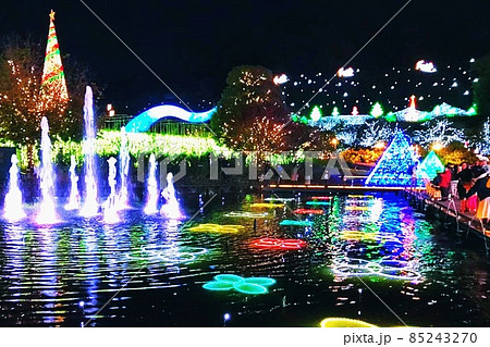 イルミネーション 85243270